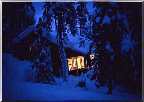 A snow-covered cabin in a forest