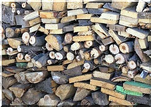 Logs stacked in a pile