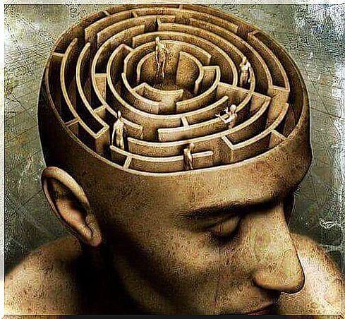 The brain like a maze 