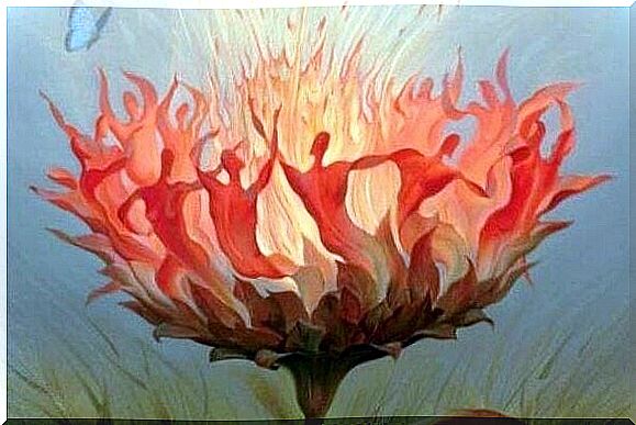 Flames in bloom