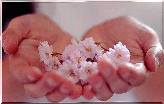 Hands holding flowers