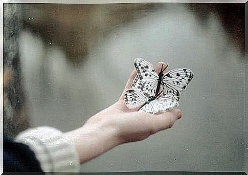 Butterflies in hand