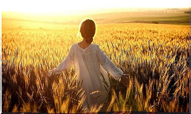 Woman in wheat fields