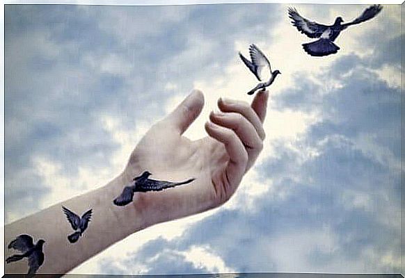 birds and hand