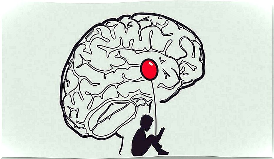 Brain