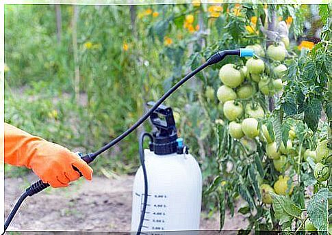 A person sprays pesticides on fruit.