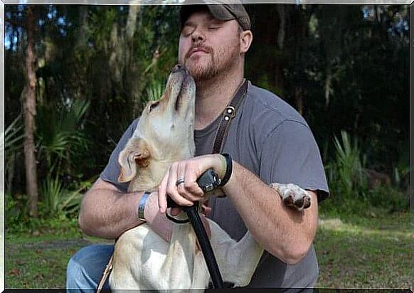 war veteran experiences healing power in dogs