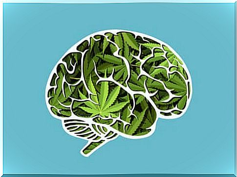 The long-term effects of cannabis on the brain