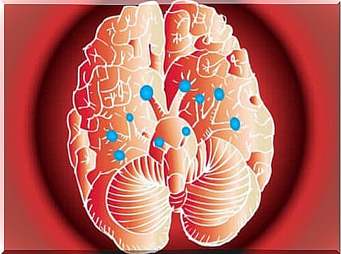 The wonderful nerves in the brain and their function