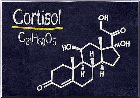 cortisol